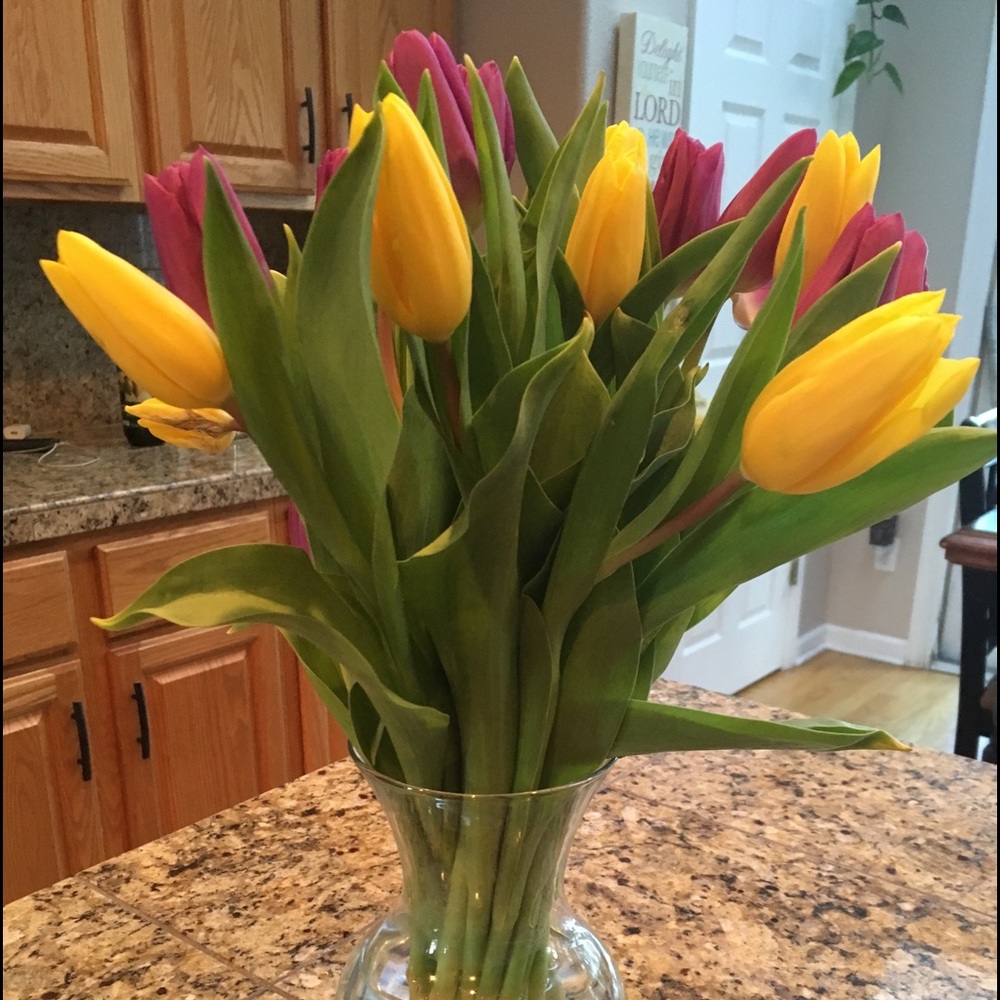 Meet your Posher, Linda